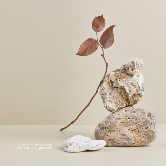 Philosophy-stone-leaves